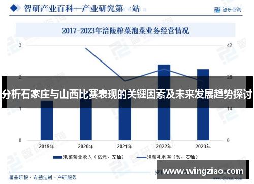 分析石家庄与山西比赛表现的关键因素及未来发展趋势探讨