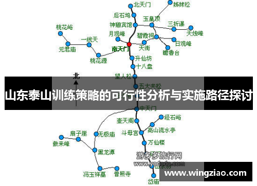 山东泰山训练策略的可行性分析与实施路径探讨