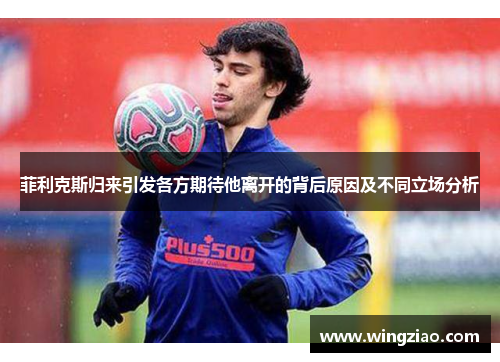 菲利克斯归来引发各方期待他离开的背后原因及不同立场分析