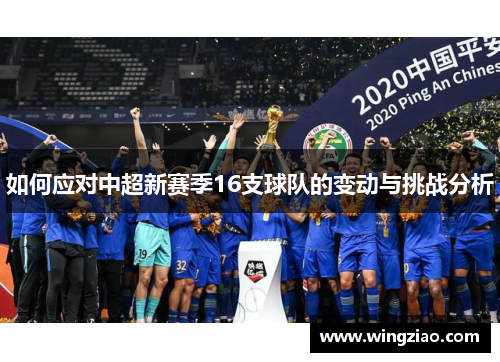 如何应对中超新赛季16支球队的变动与挑战分析