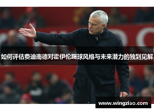 如何评估费迪南德对霍伊伦踢球风格与未来潜力的独到见解