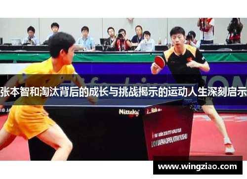 张本智和淘汰背后的成长与挑战揭示的运动人生深刻启示 张本智和淘汰背后的成长与挑战揭示的运动人生深刻启示