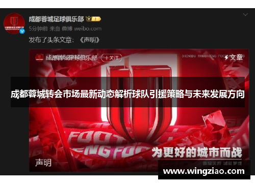 成都蓉城转会市场最新动态解析球队引援策略与未来发展方向