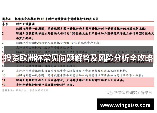 投资欧洲杯常见问题解答及风险分析全攻略 投资欧洲杯常见问题解答及风险分析全攻略