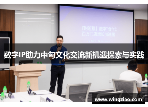 数字IP助力中匈文化交流新机遇探索与实践 数字IP助力中匈文化交流新机遇探索与实践