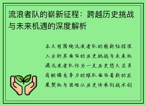 流浪者队的崭新征程:跨越历史挑战与未来机遇的深度解析 流浪者队的崭新征程:跨越历史挑战与未来机遇的深度解析